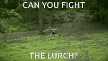 The Lurch Can You Fight GIF - The Lurch Can You Fight GIFs