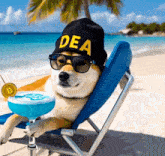 a dog wearing sunglasses and a hat that says dea on it