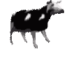 Cow1 Cow Sticker - Cow1 Cow Stickers