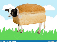 Bread Cow GIF