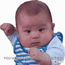 Fight Me GIF - Fight Me GIFs