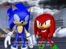Gay Sonic GIF - Gay Sonic Knuckles GIFs