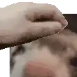 a close up of a person 's hand touching another person 's mouth .