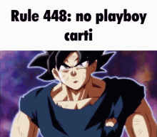 Goku Rules GIF - Goku Rules Goku Rule GIFs