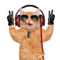 Cat Music Sticker - Cat Music Stickers