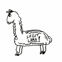 legit lama veefriends fabulous the realest the real deal