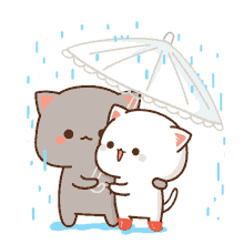 together rain