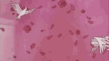 Pink Dove GIF - Pink Dove Love GIFs