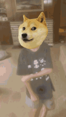 a person with a doge head on their shirt
