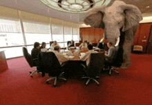 a group of people sitting around a table with an elephant in the middle of the room