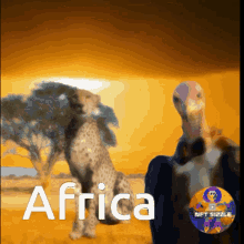 africa cheetah vulture plains sahara