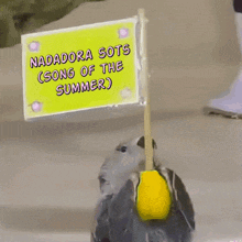 a sign that says nadadora sots ( song of the summer )