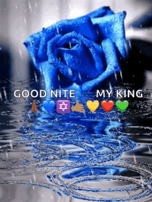 Blue Rose GIF - Blue Rose Raining GIFs