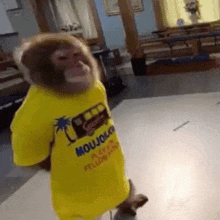 Monkey Meme GIFs