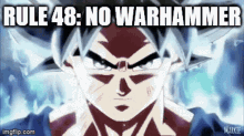 No Warhammer Goku Rule GIF - No Warhammer Goku Rule Goku GIFs