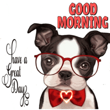 Good Morning Doggy GIF - Good Morning Doggy GIFs