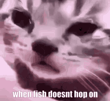 Fishmclishy GIF - Fishmclishy GIFs