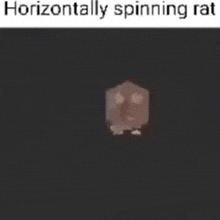 horizontally spinning rat