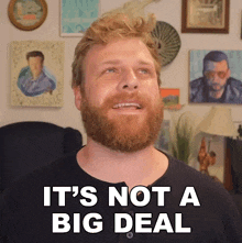 Its Not A Big Deal Grady Smith GIF - Its Not A Big Deal Grady Smith Its Not A Major Issue GIFs