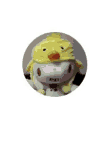 a stuffed animal wearing a yellow chicken hat with chinese writing on it