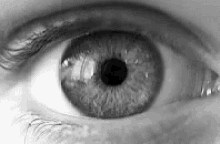 pupil eye