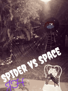 Web Of Lies Spider GIF