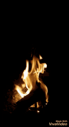 Fire Bonfire GIF