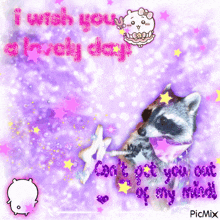 a picture of a raccoon with the words " i wish you a lucky day " on it