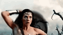 Wonder Woman Shield GIF - Wonder Woman Shield Gal Gadot GIFs