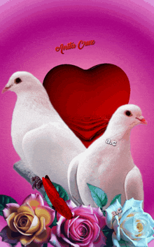 a couple of pigeons sitting next to a red heart with anita cruz written on the bottom