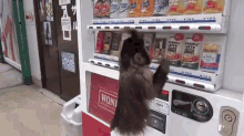 This Is How You Get Juice GIF - Monkey Vending Machine GIFs