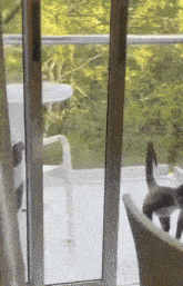 a cat is looking out of a sliding glass door on a balcony .