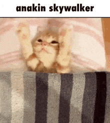 a kitten is laying on a striped blanket with the caption anakin skywalker