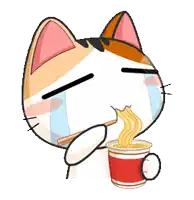 a cat is eating noodles from a cup with chopsticks