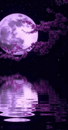 Moon Moonlight GIF - Moon Moonlight Reflection GIFs