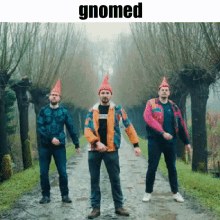 Gnome Band Gnome GIF - Gnome Band Gnome Gnomed GIFs