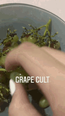 Grape Cult GIF - Grape Cult GIFs