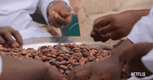 Cocoa Bean Sorting GIF - Cocoa Bean Sorting Checking Out GIFs