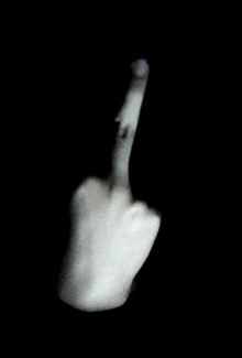 Middle Finger GIF - Middle Finger GIFs