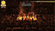 a crowd watching a marigold fields forever event