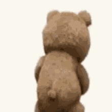 Teddy Bear Ted GIF - Teddy Bear Ted Ted Bottle Shake GIFs