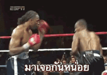 มวยไทย ชก ต่อย GIF - Muay Thai Punch Punching GIFs