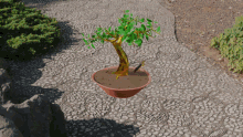 broken plant zenft bonsai gold