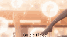 baltic fleet