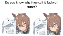 Uma Musume Pokemon Meme