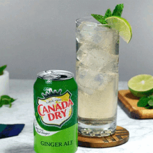 bubbles ginger ale canada dry