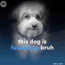 a black and white photo of a dog with the words " this dog is fucked up bruh " below it