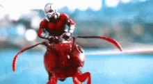 Fly Avnegers GIF - Fly Avnegers Antman GIFs