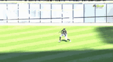 Baseball White Sox GIF