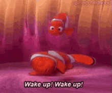 Finding Nemo Wake Up GIF - Finding Nemo Nemo Wake Up GIFs